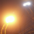 :iconmalignant6: