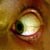 :iconmalin78: