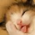 :iconmalinair: