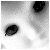 :iconMalinoVa: