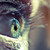 :iconmaljaa:
