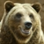 :iconmalkyre:
