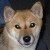 :iconmallaith: