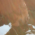 :iconmallebabyz: