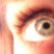 :iconmaltazor: