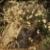 :iconmalthol-loth: