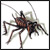 :iconmalthus: