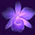 :iconmalu-hana: