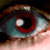 :iconmalumm: