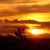 :iconmalvasdriftwood: