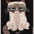:iconmaly-chawchaw: