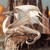 :iconmamadragon402: