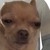 MaMaRoxy :iconmamaroxy: