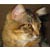 mamasmaug :iconmamasmaug: