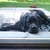 :iconmamba1803: