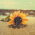 :iconmambalicious: