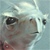 :iconmamills: