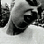 :iconmammamiyya: