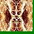 :iconmammothwings: