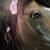:iconmamotte96: