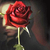 :iconmamzelle-narcisse: