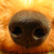:iconMan-on: