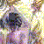 :iconmana-olana:
