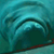 :iconmanateederpplz: