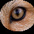 :iconmanatha: