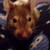 :iconmanda8u: