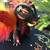 :iconmandal0838: