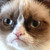 :iconmandallin: