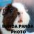 :iconmandapandaphoto: