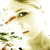 :iconmandarin-o:
