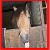 :iconmandarine-horse-666: