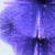 :iconmandoragon: