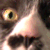 :iconmandragoran: