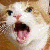 :iconmandudeguy:
