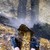 :iconmandy-plimsoll:
