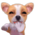 :iconmandybadgirl: