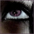 :iconmandybear4: