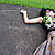 :iconmandymac: