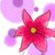 :iconmandypoptart: