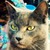 :iconmandyyphotography: