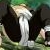:iconmanga-mania-gal: