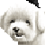 :iconmangafreak888: