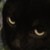 :iconmangakat-zorogirl: