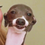 :iconmangamoonlight:
