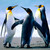 :iconmangea:
