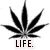 :iconmango-time: